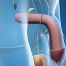 南京金陵中西结合医院-技术优见效快