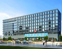 南京金陵中西结合医院-简介